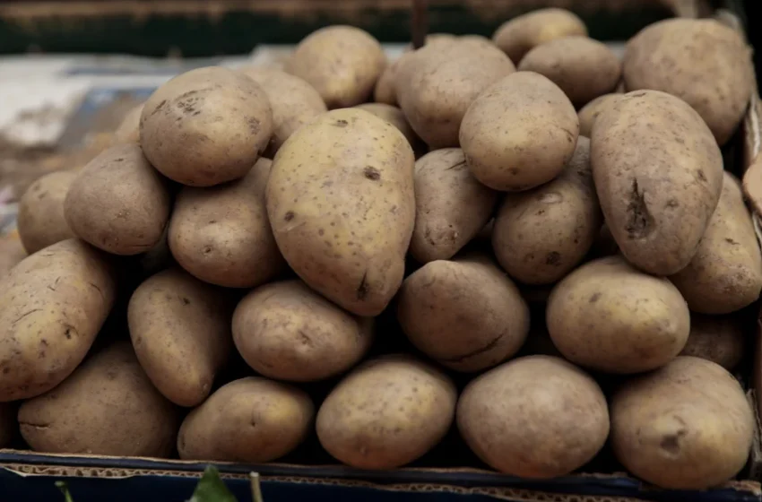  Αλλαγή «ταυτότητας» σε πατάτες και ντομάτες με σκοπό το κέρδος