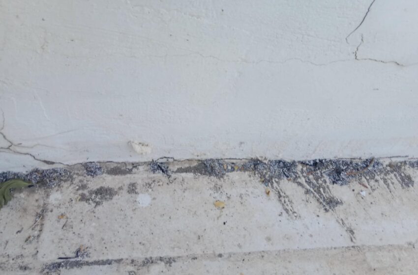  ΔΕΙΤΕ ΒΙΝΤΕΟ: 4 ημέρες μετά … και όλη η Πάτρα είναι γεμάτη στάχτες